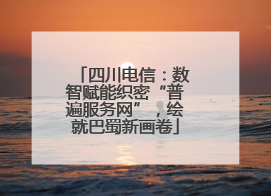 四川电信：数智赋能织密“普遍服务网”，绘就巴蜀新画卷