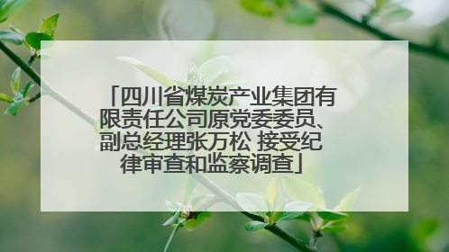 四川省煤炭产业集团有限责任公司原党委委员、副总经理张万松 接受纪律审查和监察调查