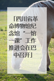 四川省革命博物馆纪念馆“一馆一课”工作推进会在巴中召开