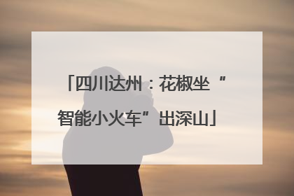 四川达州：花椒坐“智能小火车”出深山