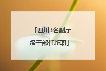 四川3名副厅级干部任新职
