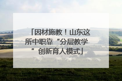 因材施教！山东这所中职靠“分层教学”创新育人模式