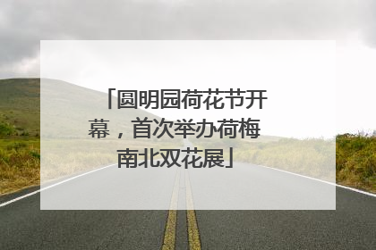 圆明园荷花节开幕，首次举办荷梅南北双花展