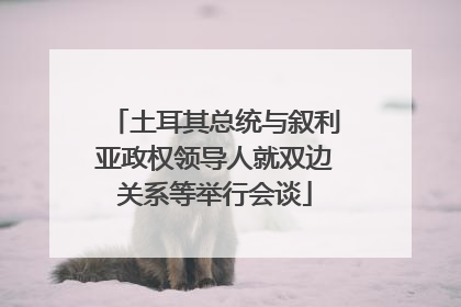 土耳其总统与叙利亚政权领导人就双边关系等举行会谈