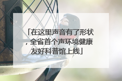 在这里声音有了形状，全省首个声环境健康友好科普馆上线