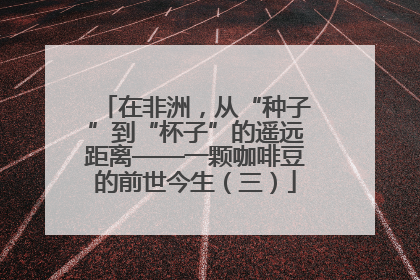 在非洲，从“种子”到“杯子”的遥远距离——一颗咖啡豆的前世今生（三）