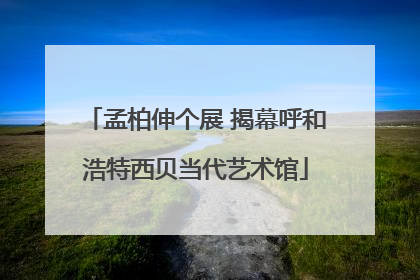 孟柏伸个展 揭幕呼和浩特西贝当代艺术馆