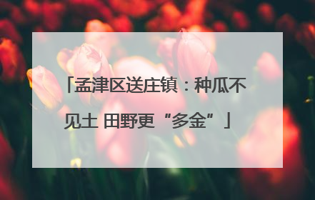 孟津区送庄镇：种瓜不见土 田野更“多金”