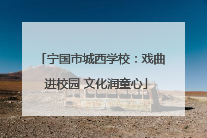 宁国市城西学校：戏曲进校园 文化润童心