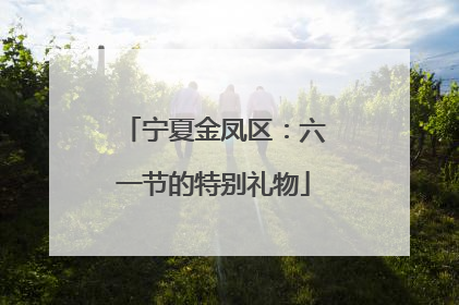 宁夏金凤区：六一节的特别礼物