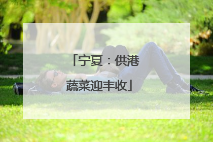 宁夏：供港蔬菜迎丰收