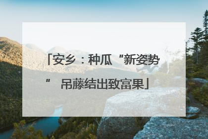 安乡：种瓜“新姿势” 吊藤结出致富果