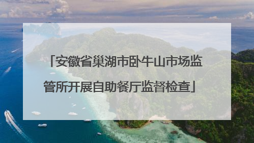 安徽省巢湖市卧牛山市场监管所开展自助餐厅监督检查