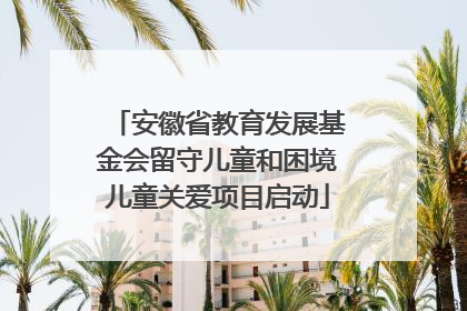 安徽省教育发展基金会留守儿童和困境儿童关爱项目启动