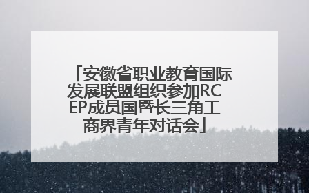 安徽省职业教育国际发展联盟组织参加RCEP成员国暨长三角工商界青年对话会