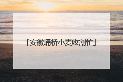 安徽埇桥小麦收割忙
