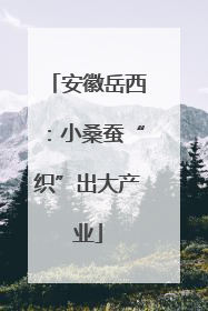 安徽岳西：小桑蚕“织”出大产业