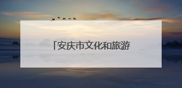 安庆市文化和旅游产业协会正式成立