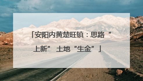 安阳内黄楚旺镇：思路“上新” 土地“生金”