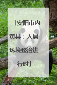 安阳市内黄县：人居环境整治进行时