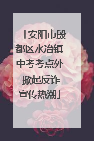 安阳市殷都区水冶镇中考考点外 掀起反诈宣传热潮