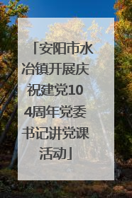 安阳市水冶镇开展庆祝建党104周年党委书记讲党课活动