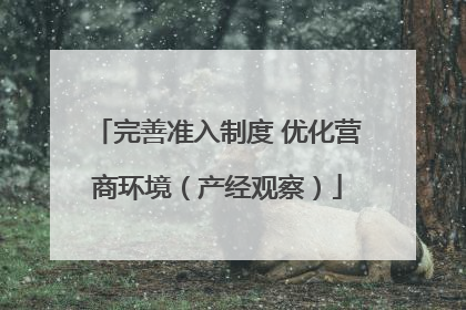 完善准入制度 优化营商环境（产经观察）