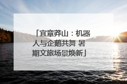 宜章莽山：机器人与企鹅共舞 暑期文旅场景焕新