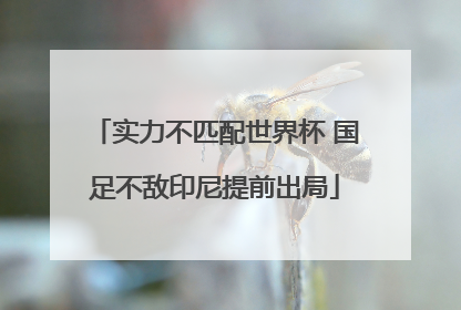 实力不匹配世界杯 国足不敌印尼提前出局