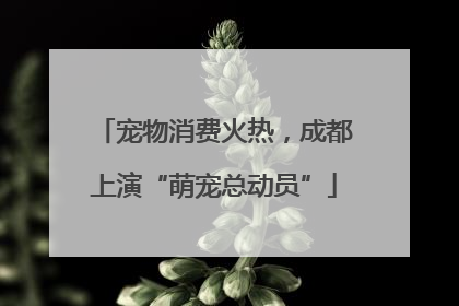 宠物消费火热，成都上演“萌宠总动员”