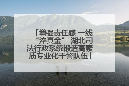 增强责任感 一线“淬真金” 湖北司法行政系统锻造高素质专业化干警队伍