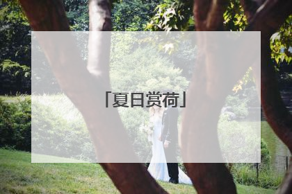 夏日赏荷
