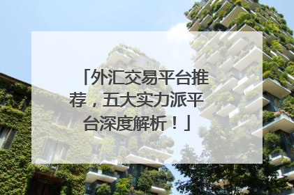 外汇交易平台推荐，五大实力派平台深度解析！
