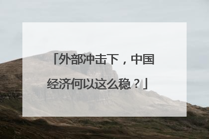 外部冲击下，中国经济何以这么稳？