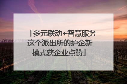 多元联动+智慧服务 这个派出所的护企新模式获企业点赞