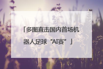 多图直击国内首场机器人足球“AI赛”