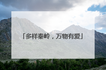 多样秦岭，万物有爱