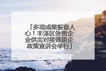 多项成果振奋人心！丰泽区外贸企业供需对接暨惠企政策宣讲会举行
