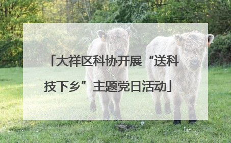 大祥区科协开展“送科技下乡”主题党日活动