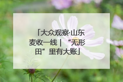 大众观察·山东麦收一线｜“无形田”里有大账