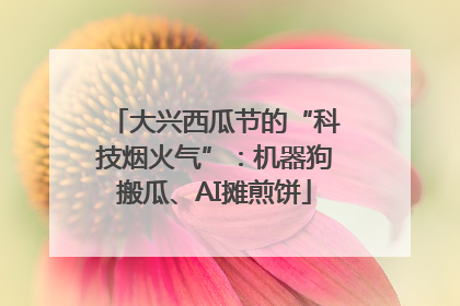 大兴西瓜节的“科技烟火气”：机器狗搬瓜、AI摊煎饼