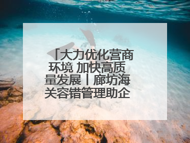 大力优化营商环境 加快高质量发展丨廊坊海关容错管理助企“轻装上阵”