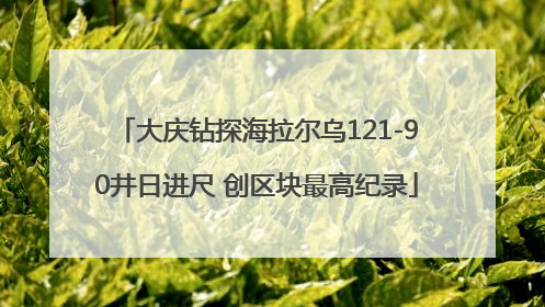 大庆钻探海拉尔乌121-90井日进尺 创区块最高纪录
