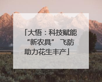 大悟：科技赋能“新农具” 飞防助力花生丰产