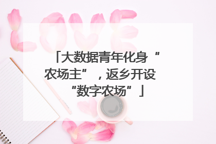 大数据青年化身“农场主”，返乡开设“数字农场”