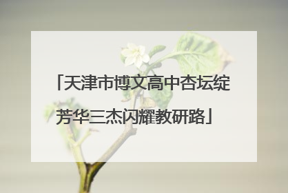 天津市博文高中杏坛绽芳华三杰闪耀教研路