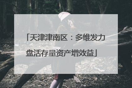天津津南区：多维发力盘活存量资产增效益