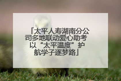 太平人寿湖南分公司多地联动爱心助考 以“太平温度”护航学子逐梦路