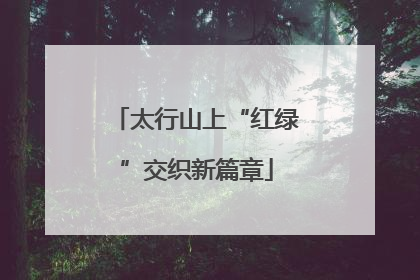 太行山上“红绿”交织新篇章