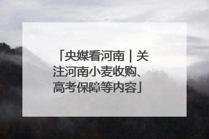 央媒看河南｜关注河南小麦收购、高考保障等内容